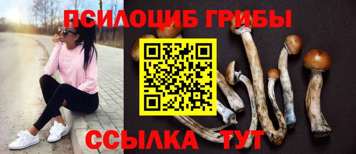 Галлюциногенные грибы MAGIC MUSHROOMS  Вход с VPN  Щёлково  Галлюциногенные грибы мухоморы 
